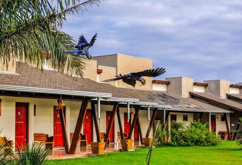 豪华套房, Pousada Piuval