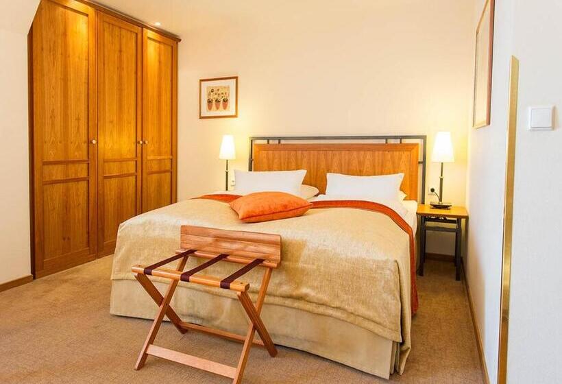 חדר סטודיו סטנדרד, Speicher Am Ziegelsee