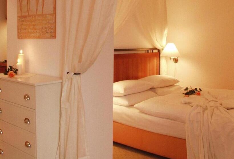 חדר סטודיו סטנדרד, Speicher Am Ziegelsee