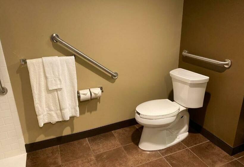 Mozgáskorlátozott Standard Szoba, Microtel Inn & Suites By Wyndham Timmins