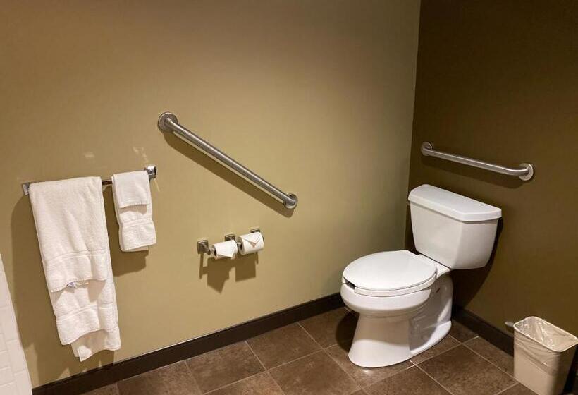 Lakosztály, Microtel Inn & Suites By Wyndham Timmins