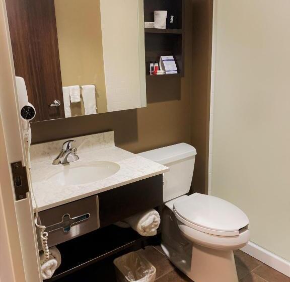 Deluxe Szoba, Microtel Inn & Suites By Wyndham Timmins