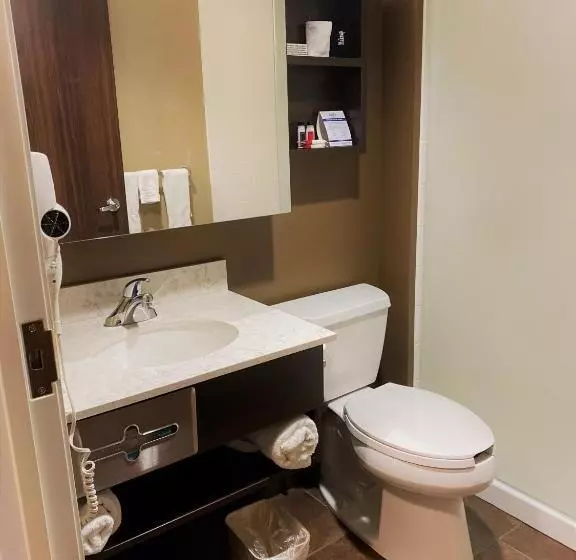 デラックスルーム, Microtel Inn & Suites By Wyndham Timmins