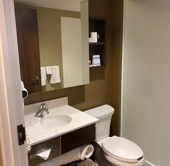 キングサイズベッドのスイートルーム, Microtel Inn & Suites By Wyndham Timmins