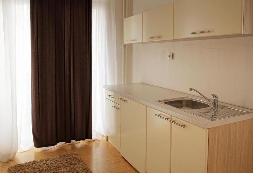 آپارتمان 1 خوابه با بالکن, Garni Hotel Hamburg