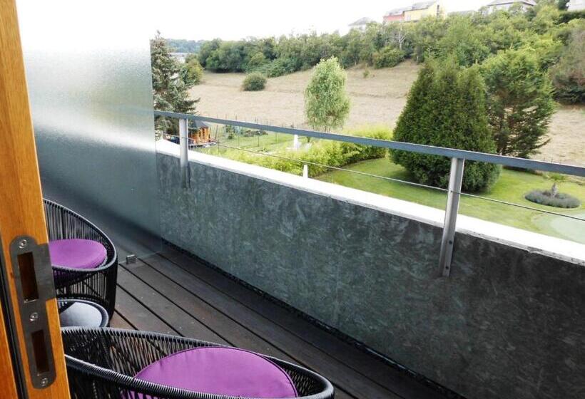 اتاق استاندارد با تراس, De L'ecluse Superior