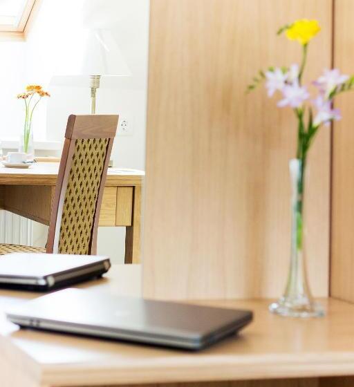 اتاق سوپریور, Domus Maria