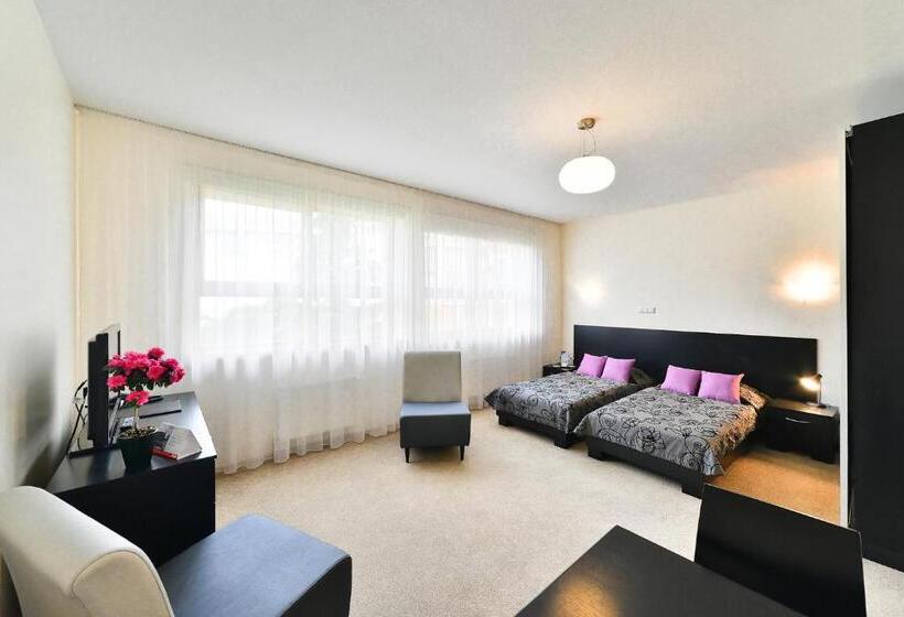 اتاق استاندارد, Vantis Riverside