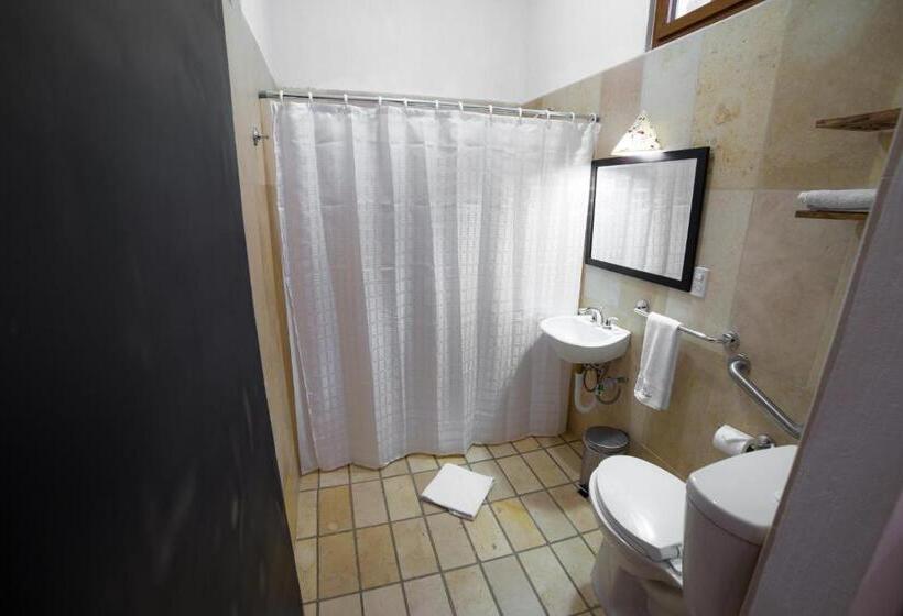 اتاق استاندارد برای معلولان, Y Centro De Convenciones Jardines Del Lago