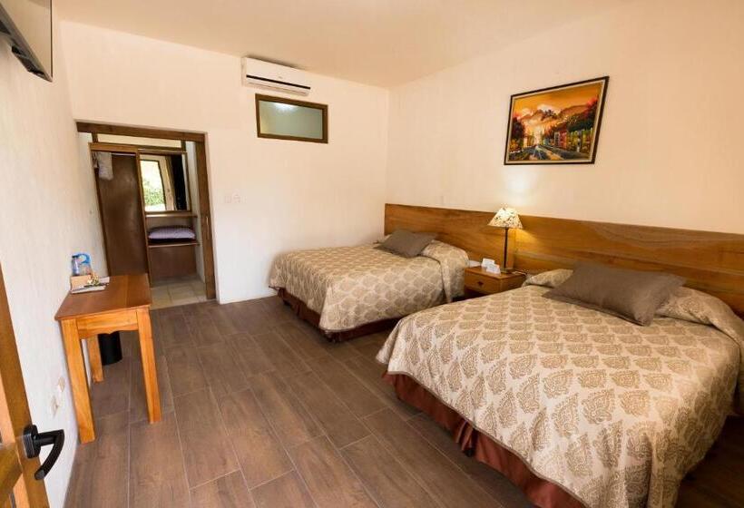 اتاق استاندارد برای معلولان, Y Centro De Convenciones Jardines Del Lago