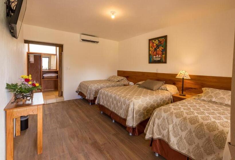 اتاق استاندارد سه نفره, Y Centro De Convenciones Jardines Del Lago