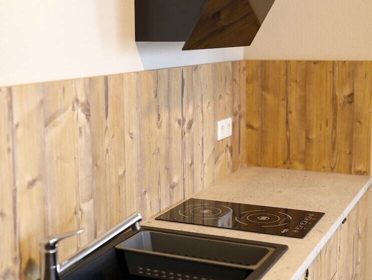 شقة ديلوكس غرفة واحدة, Kedi Hotel Papenburg