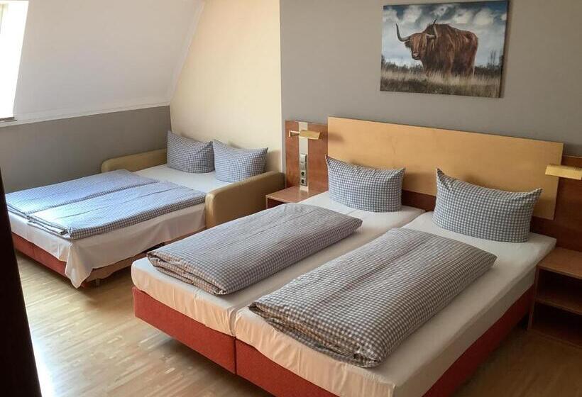 חדר סופריור, Römer