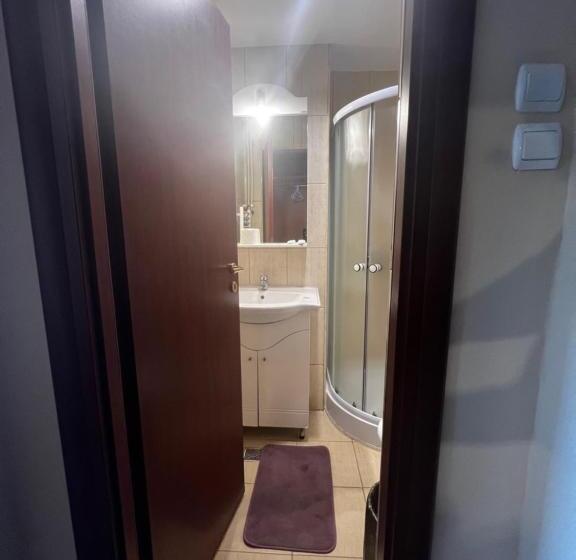 Номер Стандарт, Sport B90