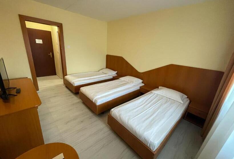 Номер Стандарт Трехместный, Sport B90