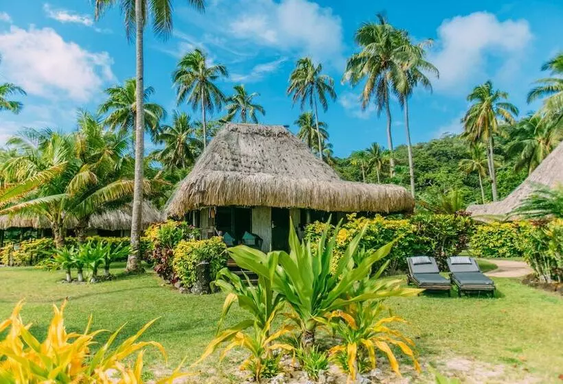 スタンダードバンガロー, Qamea Resort & Spa