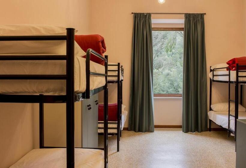 מיטה בחדר משותף, Ostello Ossigeno