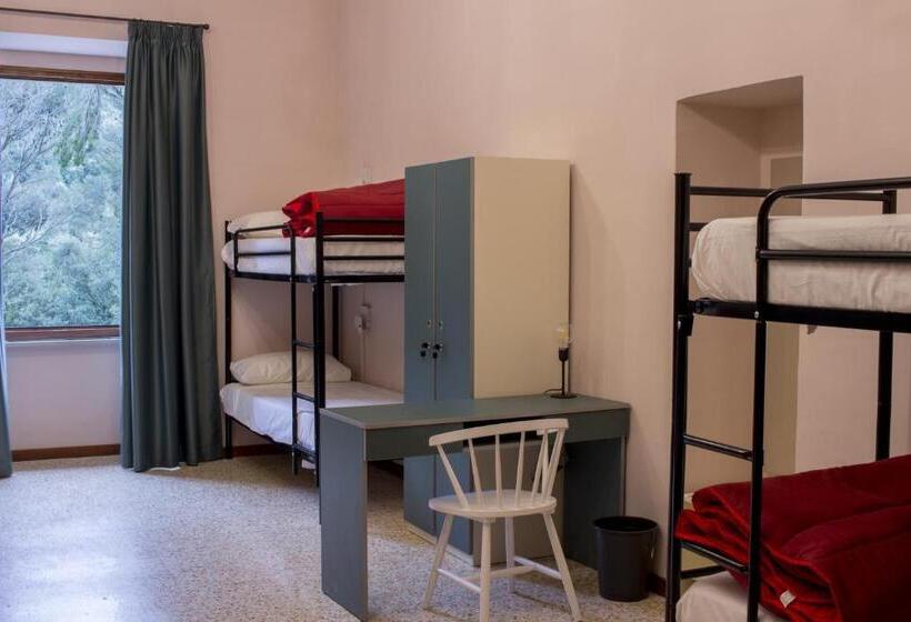 מיטה בחדר משותף, Ostello Ossigeno
