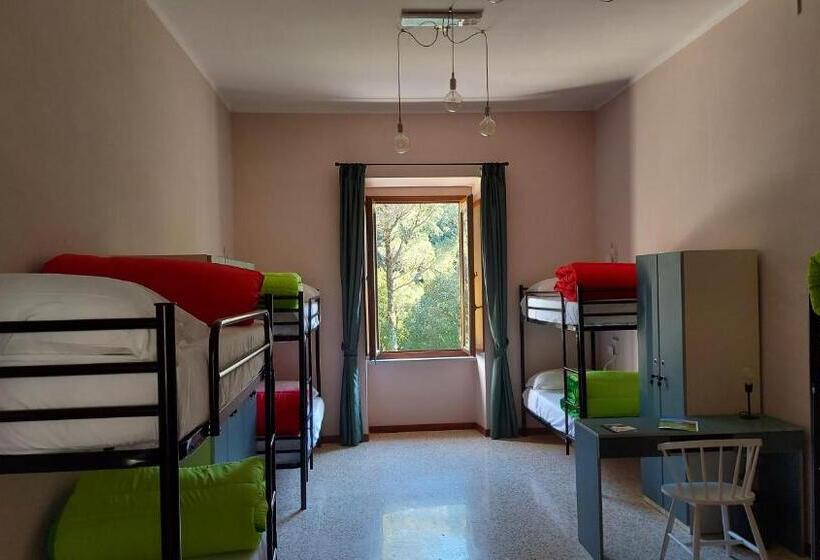 מיטה בחדר משותף, Ostello Ossigeno