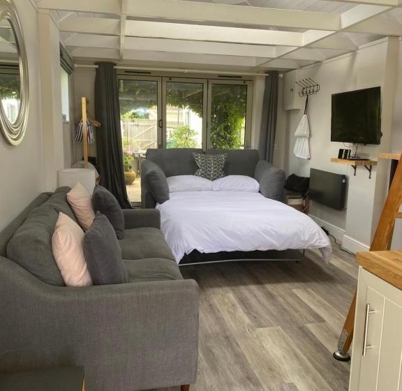 スタンダードルーム, The Nest