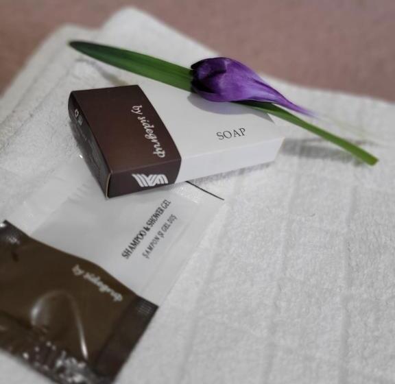 Номер Стандарт, Pensiunea Perla Durau