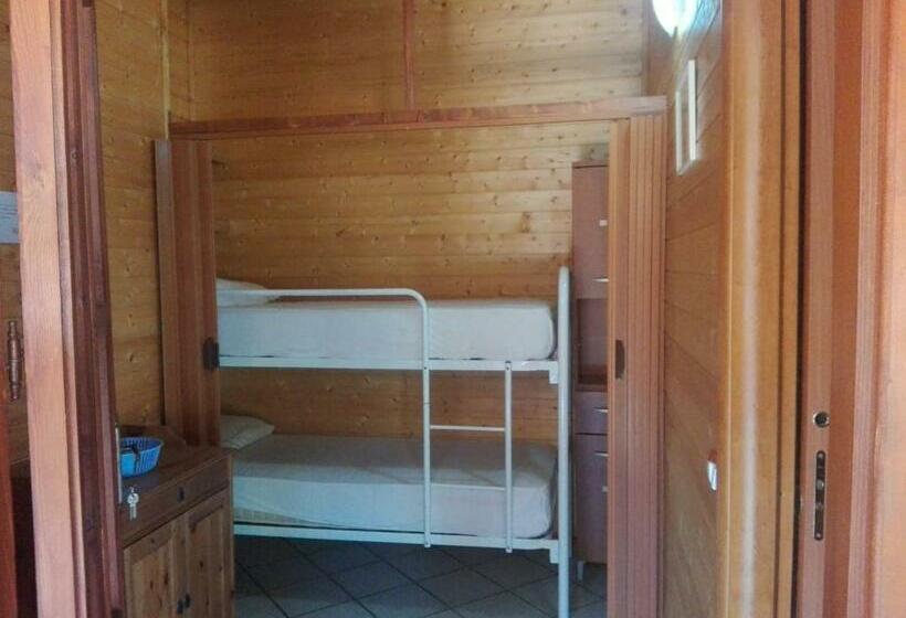 标准平房, Summer Paradise