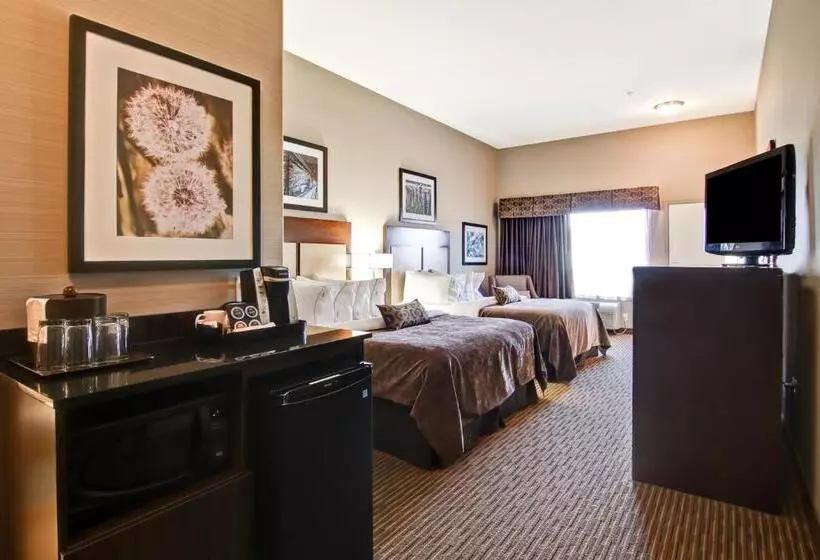 スタンダードルーム, Canalta Hotel Shaunavon