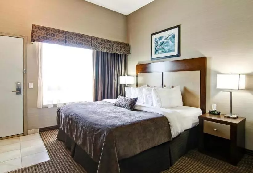 キングサイズベッドのスタンダードルーム, Canalta Hotel Shaunavon