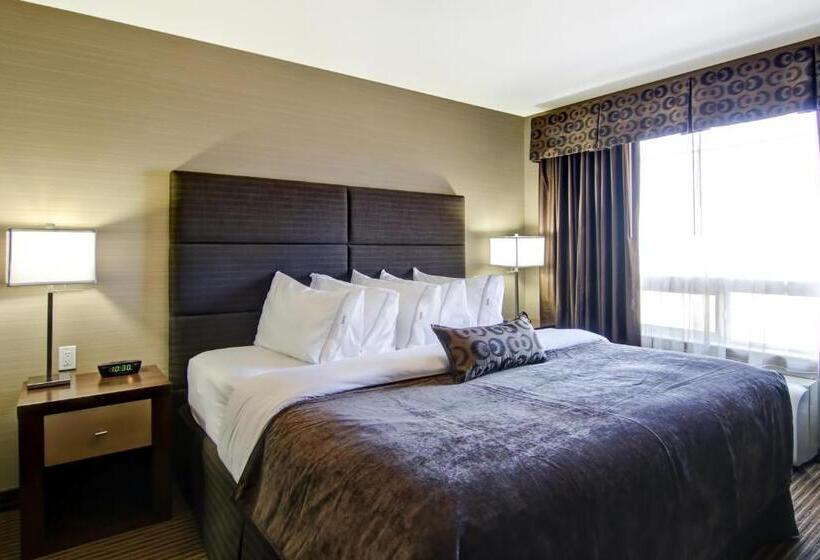 キングサイズベッドのスタンダードルーム, Canalta Hotel Shaunavon
