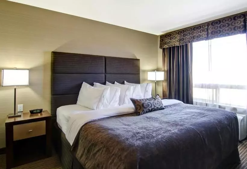 キングサイズベッドのスイートルーム, Canalta Hotel Shaunavon