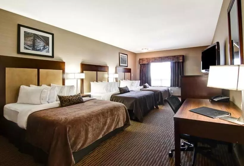 ファミリールーム, Canalta Hotel Shaunavon