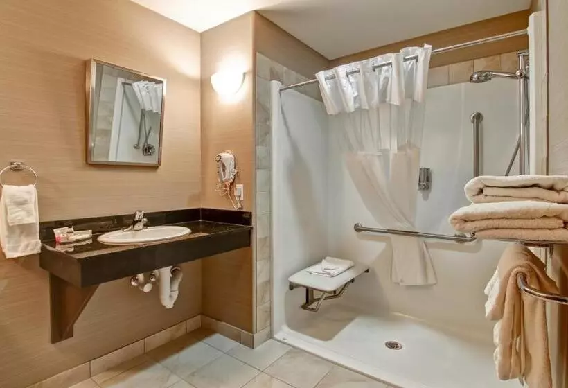 身障者適用キングサイズベッドルーム, Canalta Hotel Shaunavon