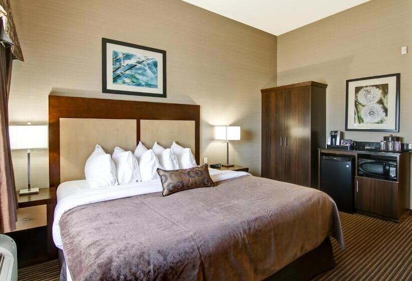 身障者適用キングサイズベッドルーム, Canalta Hotel Shaunavon