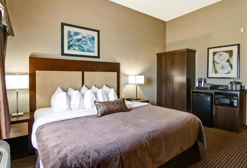 身障者適用キングサイズベッドルーム, Canalta Hotel Shaunavon