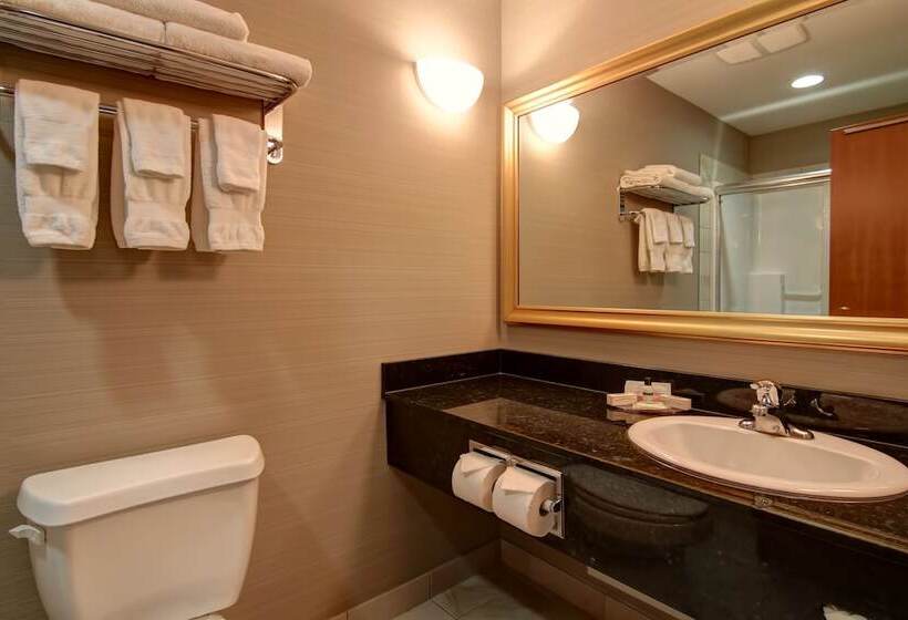 غرفة قياسية, Canalta Hotel Shaunavon