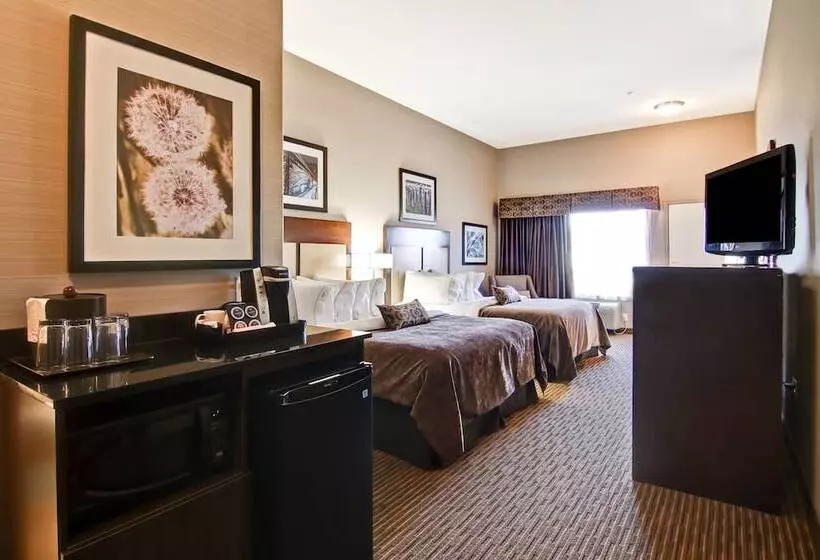 スタンダードルーム, Canalta Hotel Shaunavon