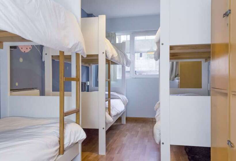 تختخواب در اتاق مشترک, Circus Hostel