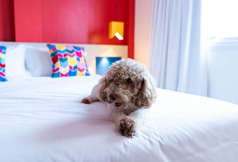 带1个卧室的公寓, Ibis Styles Campina Grande