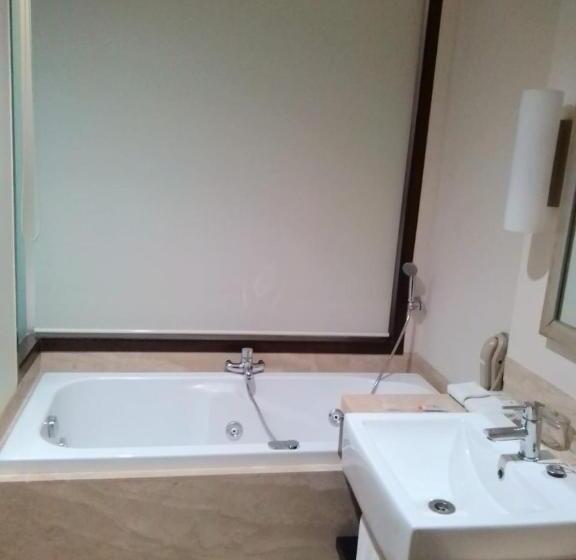 商务房间, Radisson Noida