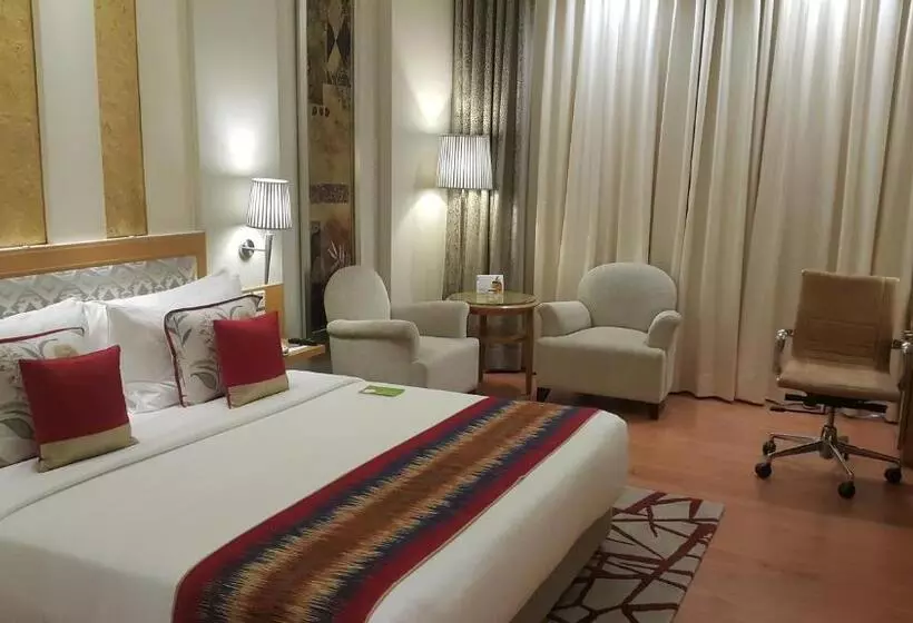 プレミアムルーム, Radisson Noida