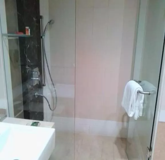 プレミアムルーム, Radisson Noida