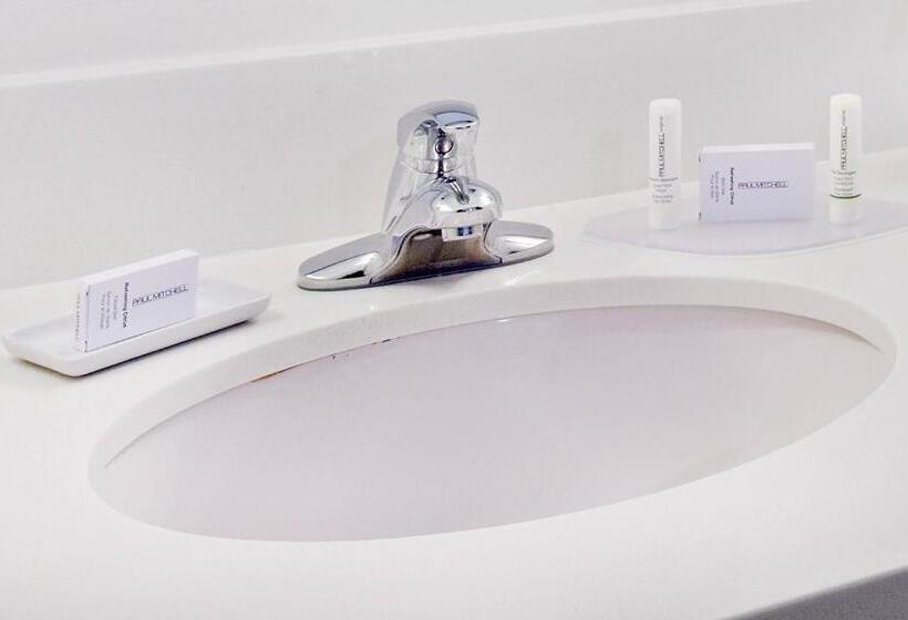 베이직 스튜디오, Springhill Suites Chesapeake Greenbrier