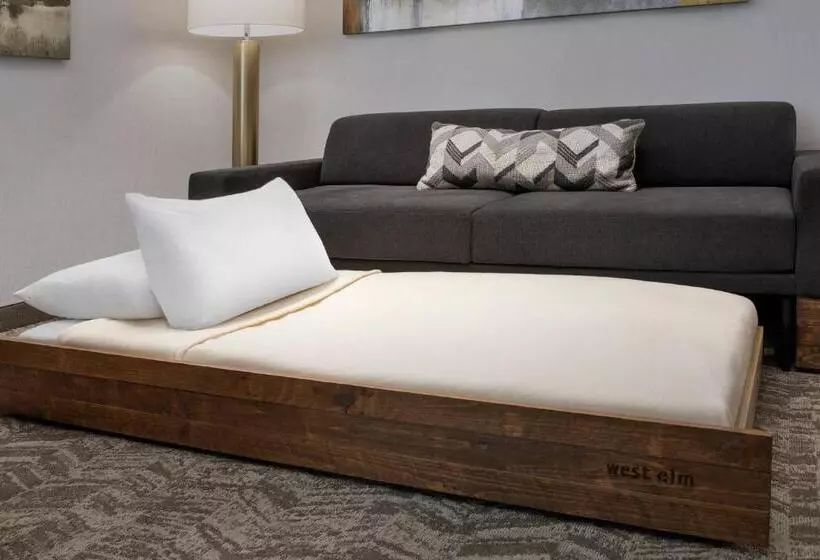 ベーシックワンルーム, Springhill Suites Chesapeake Greenbrier