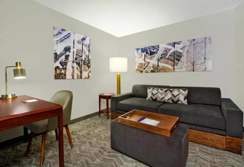 ベーシックワンルーム, Springhill Suites Chesapeake Greenbrier