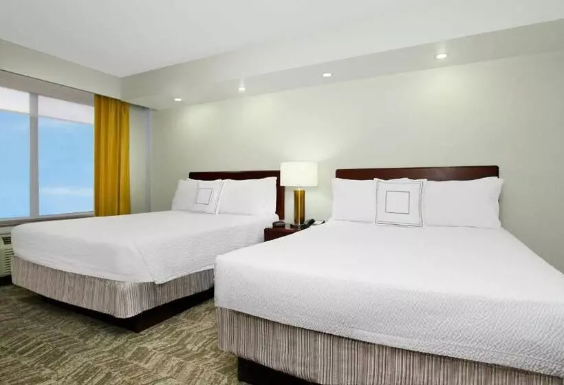 ベーシックワンルーム, Springhill Suites Chesapeake Greenbrier