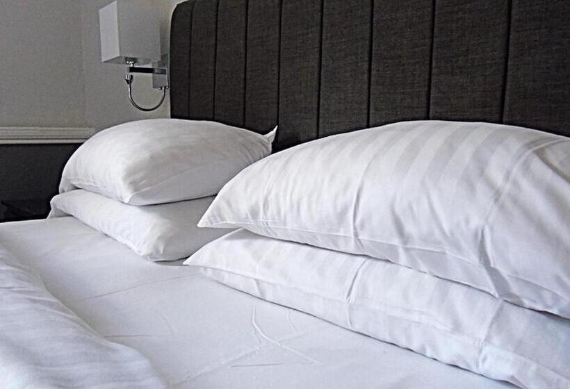 スタンダードルーム, The Lion