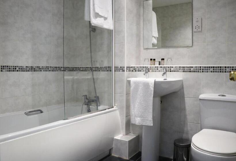 スタンダードシングルルーム, The Lion