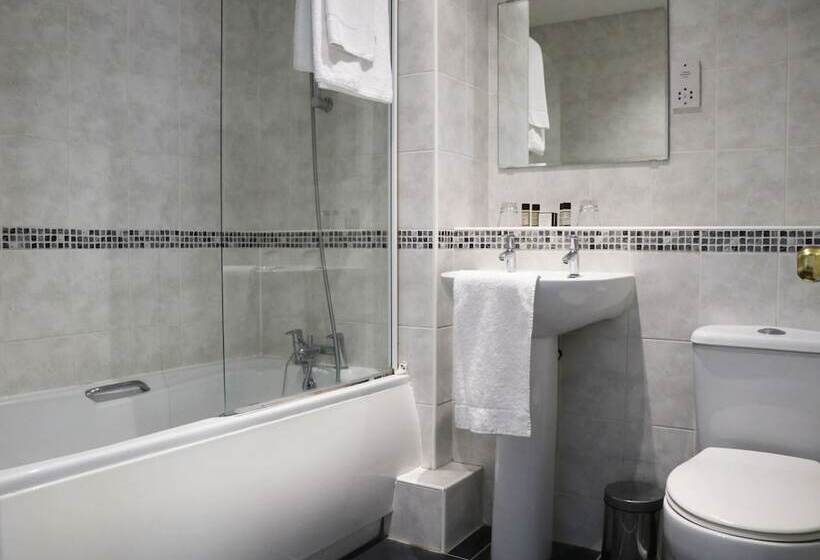 スタンダードシングルルーム, The Lion