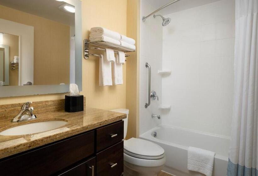 带大床的标准工作室, Towneplace Suites Ann Arbor