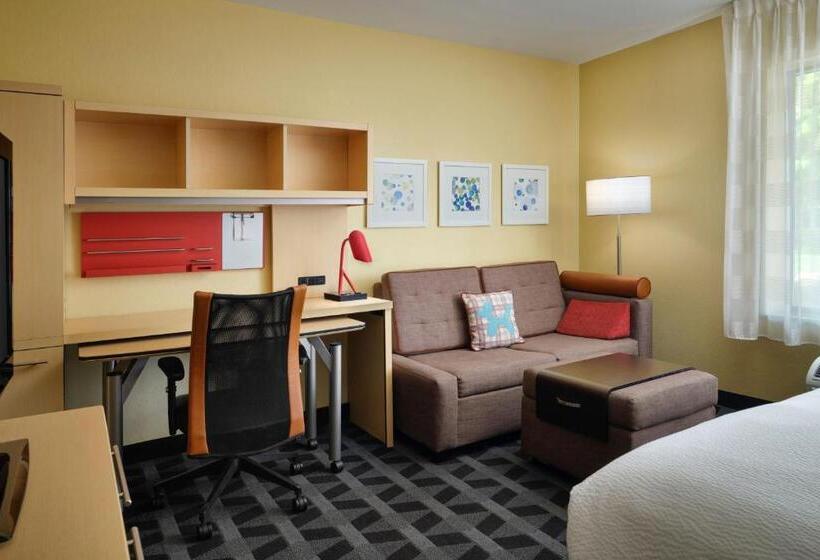 带大床的标准工作室, Towneplace Suites Ann Arbor